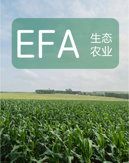 云顶集团3118(中国)官方网站